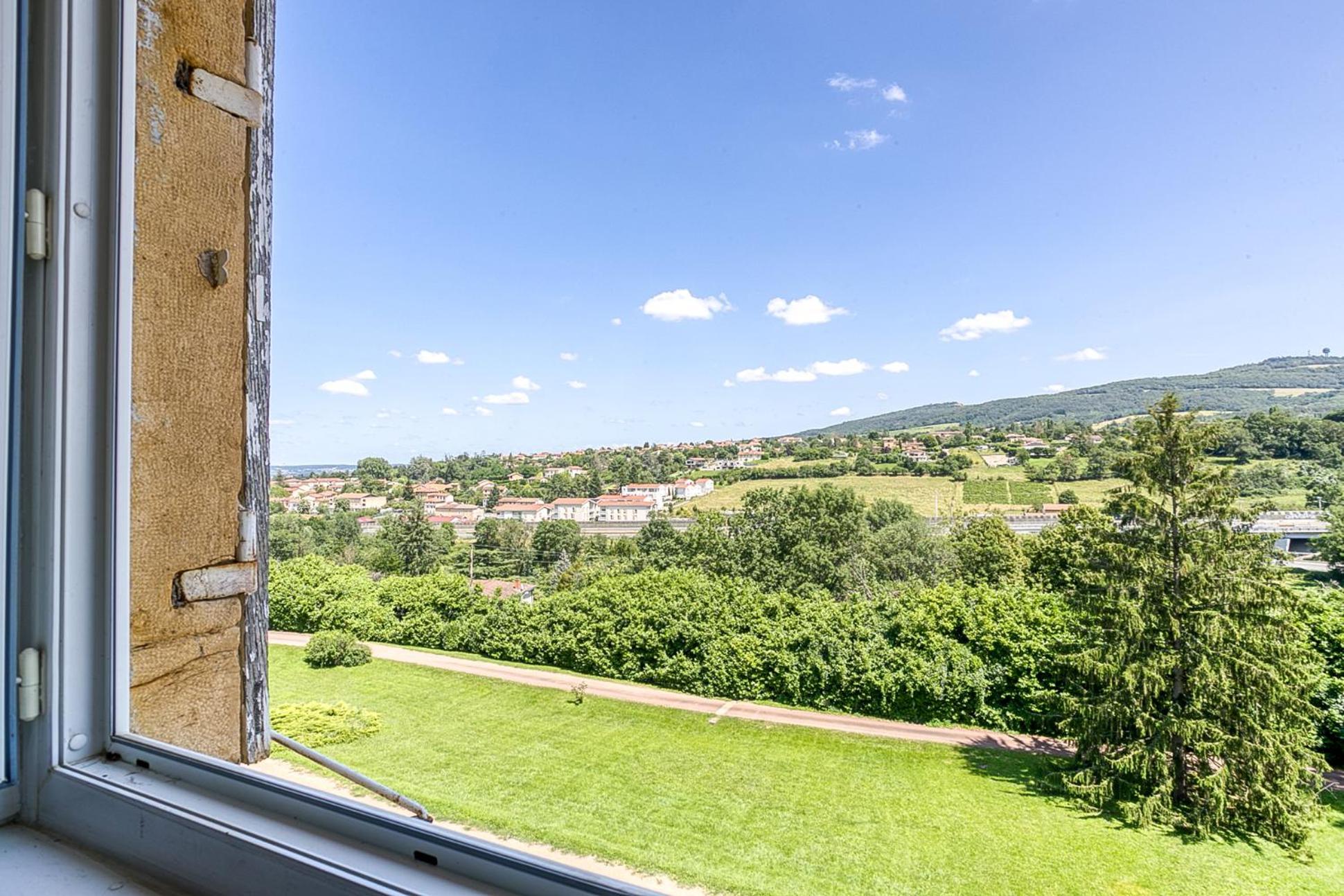 Sejourner Au Chateau De La Roue Grand Appartement Lissieu Kültér fotó