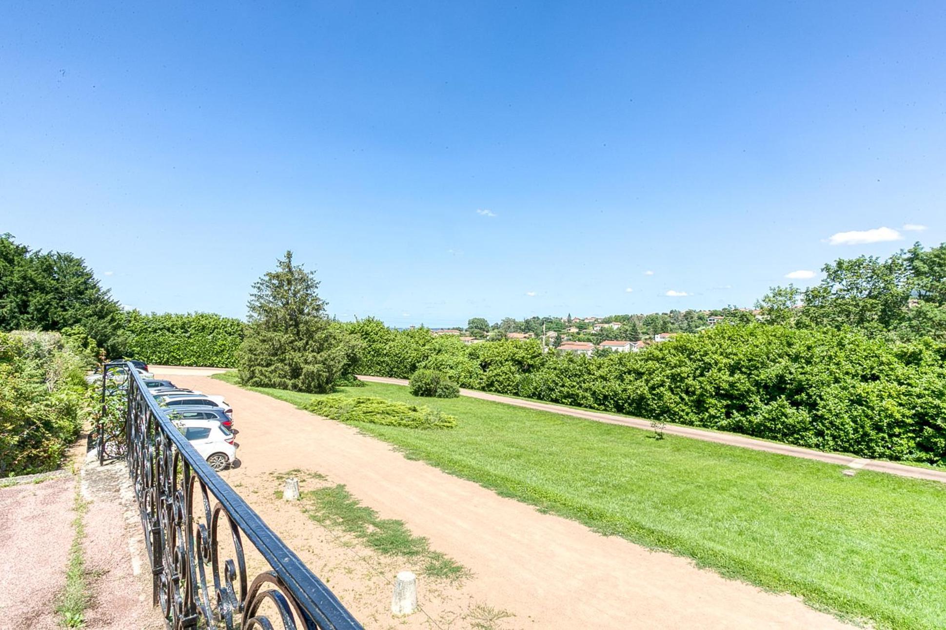 Sejourner Au Chateau De La Roue Grand Appartement Lissieu Kültér fotó