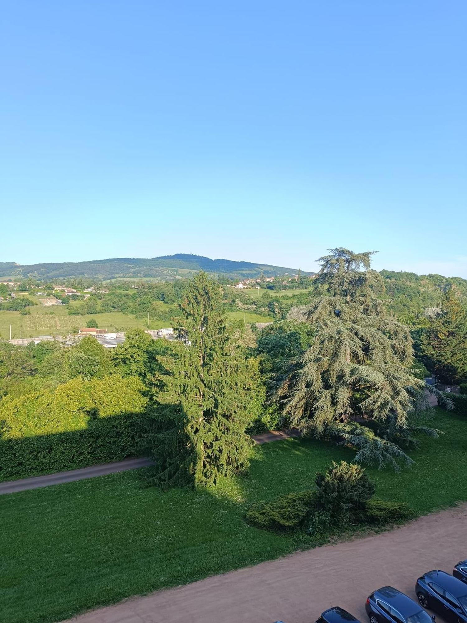 Sejourner Au Chateau De La Roue Grand Appartement Lissieu Kültér fotó